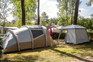 Mehrere Campingzelte auf einer Wiese zwischen Bäumen, mit Wegen und weiteren Zelten im Hintergrund.