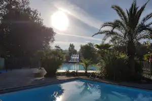 Schwimmbecken mit Palmen und Liegestühlen am Campingplatz, umgeben von Bäumen und einer Stein-Terrasse.