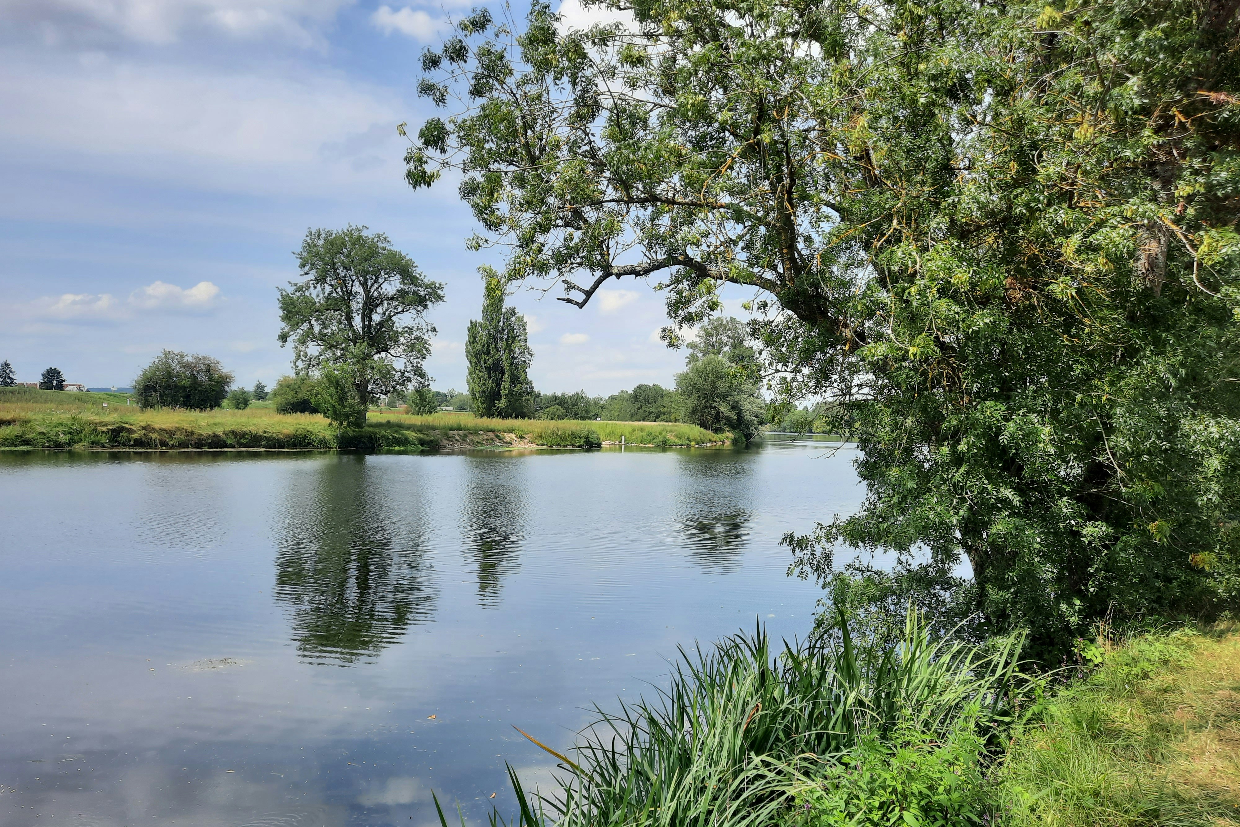 Camping La Confluence - Blick auf den Fluss in der malerischen Natur und Umgebung des Campingplatzes