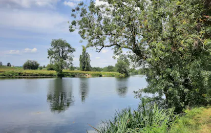 Onlycamp La Confluence
