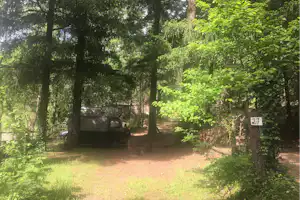 Camping la Corconne - Große Stellplätze im Schatten der Bäume