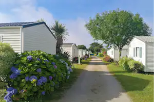 Camping La Corniche - Mobilheime auf dem Campingplatz