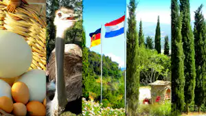 Camping La Corsa