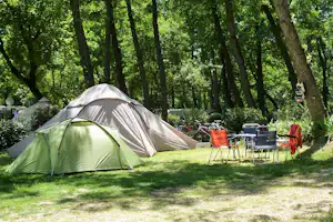 Zelt auf einem Campingplatz im Grünen, daneben Gartenstühle und Tische unter hohen Bäumen.