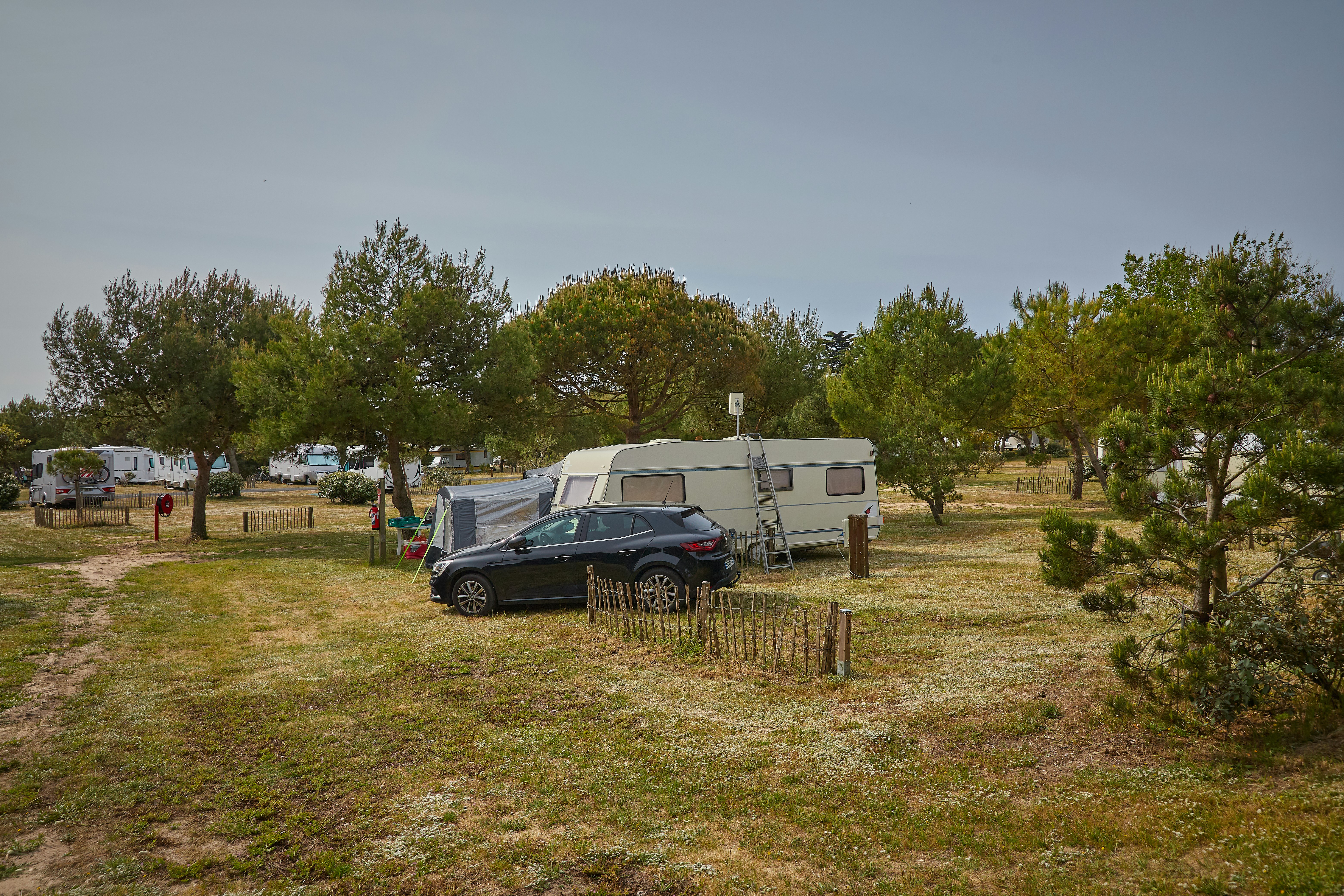 Wohnmobil auf einem Stellplatz zwischen Bäumen, davor ein Auto und ein Vorzelt mit Leiter, im Campinggelände.