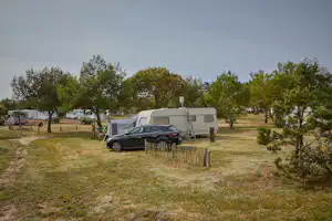 Wohnmobil auf einem Stellplatz zwischen Bäumen, davor ein Auto und ein Vorzelt mit Leiter, im Campinggelände.