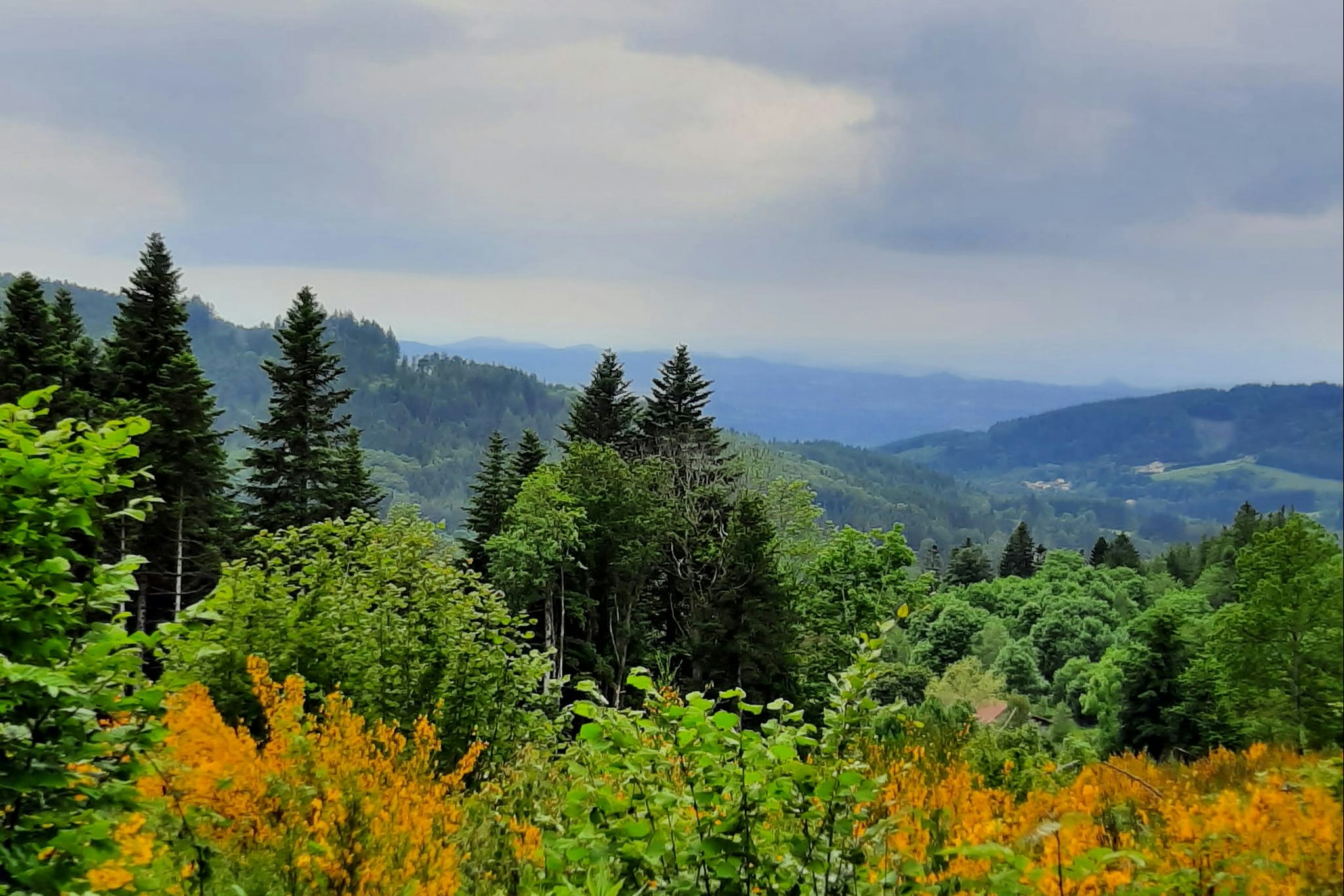 Camping La Cube - Blick in die Natur in der Umgebung des Campingplatzes