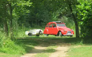 Roter Kleinwagen mit Anhänger steht auf einer Wiese im Grünen zwischen Bäumen und einem Schotterweg.