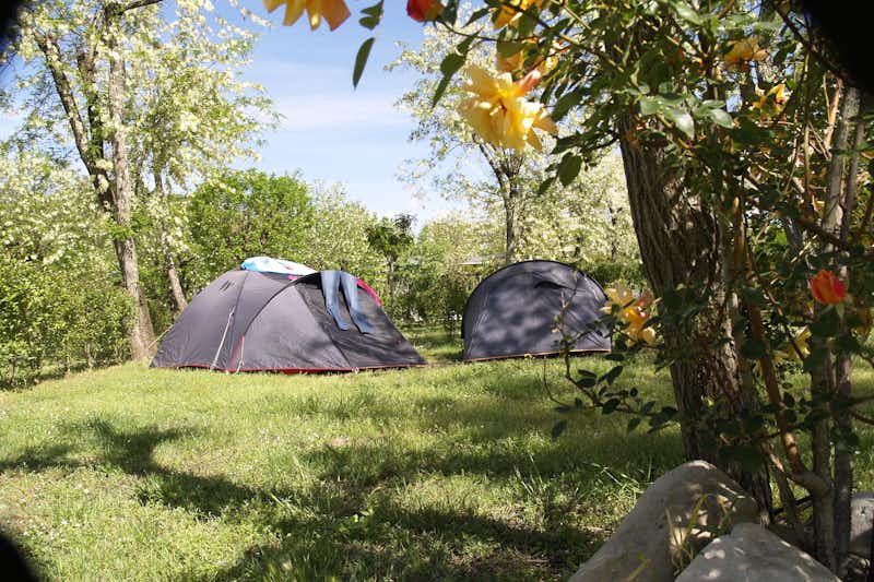 Camping La Digue  - Zeltwiese
