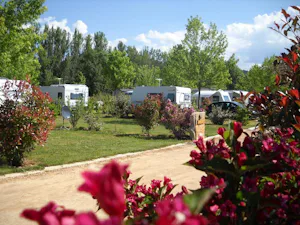 Flower Camping la Dourbie - Standplätze im Grünen auf dem Campingplatz