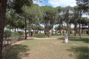 Weg im Campinggelände durch einen Wald mit Olivenbäumen, Rasenflächen und einem Schild am Rand.