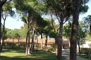 Campinganlage mit Rasenfläche, hohen Bäumen und mehreren Gebäuden mit Ziegeldächern im Hintergrund.