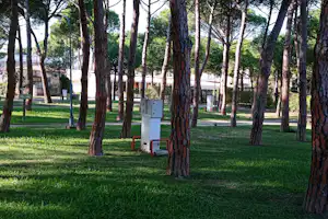 Grüner Campingplatz mit vielen Bäumen, Rasenflächen und einem Weg, im Hintergrund Gebäude und Stellplätze.