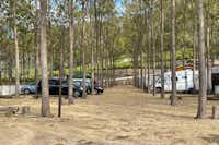 Camping La Escalada - Standplätze zwischen den Bäumen