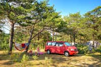 Camping La Farigoulette - Ciela Village - Stellplatz im Schatten der Bäume