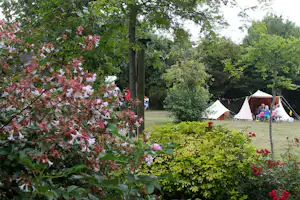 Zelte im Grünen hinter einem Blumenbeet mit roten und rosa Blüten, daneben Bäume und ein gepflegter Rasen.