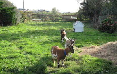 Camping La Ferme du Bord de Mer