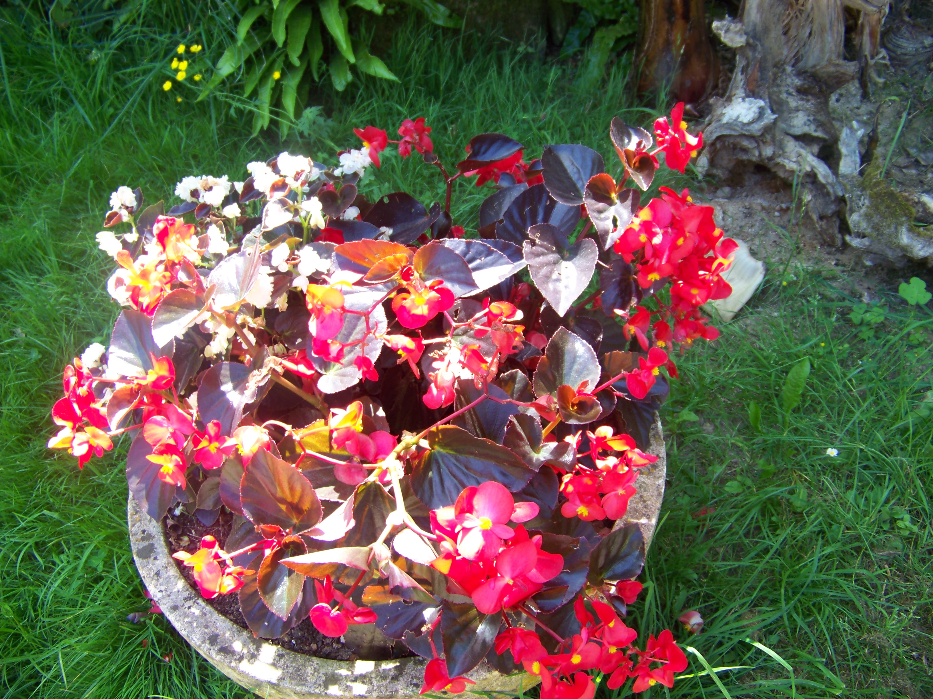 Camping La Ferme du Pelou