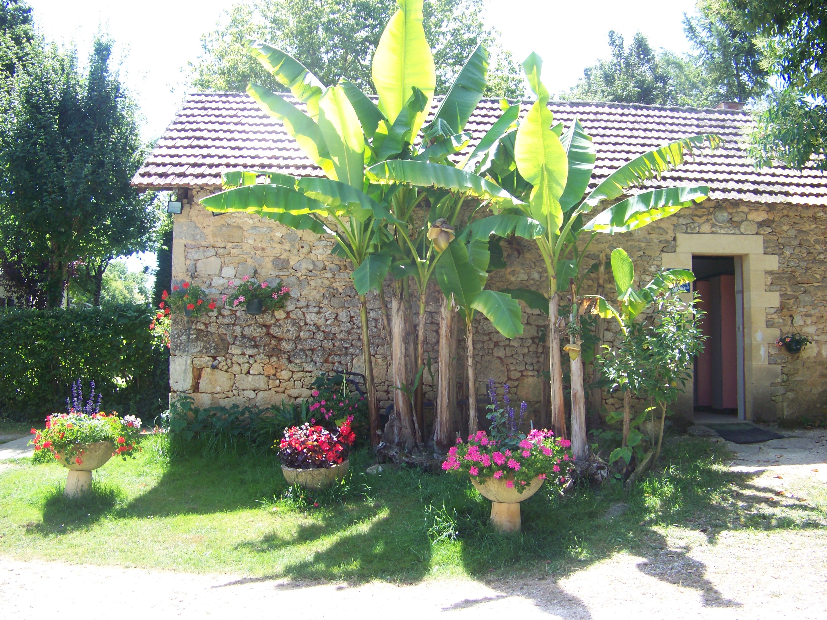 Camping La Ferme du Pelou