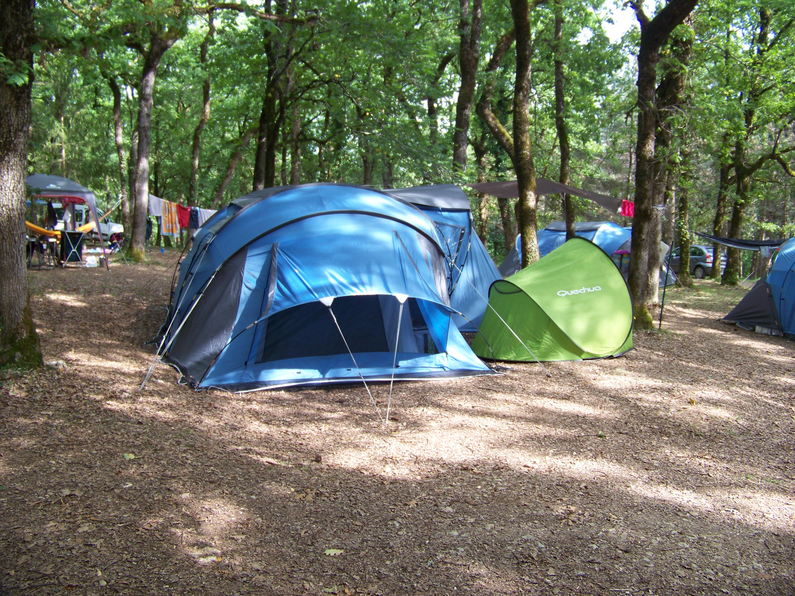 Blaues Campingzelt und grüne Vorzeltplane auf einem Stellplatz im Wald, daneben weitere Zelte und Stühle.