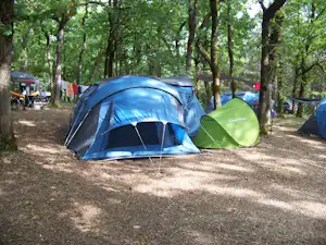 Blaues Campingzelt und grüne Vorzeltplane auf einem Stellplatz im Wald, daneben weitere Zelte und Stühle.