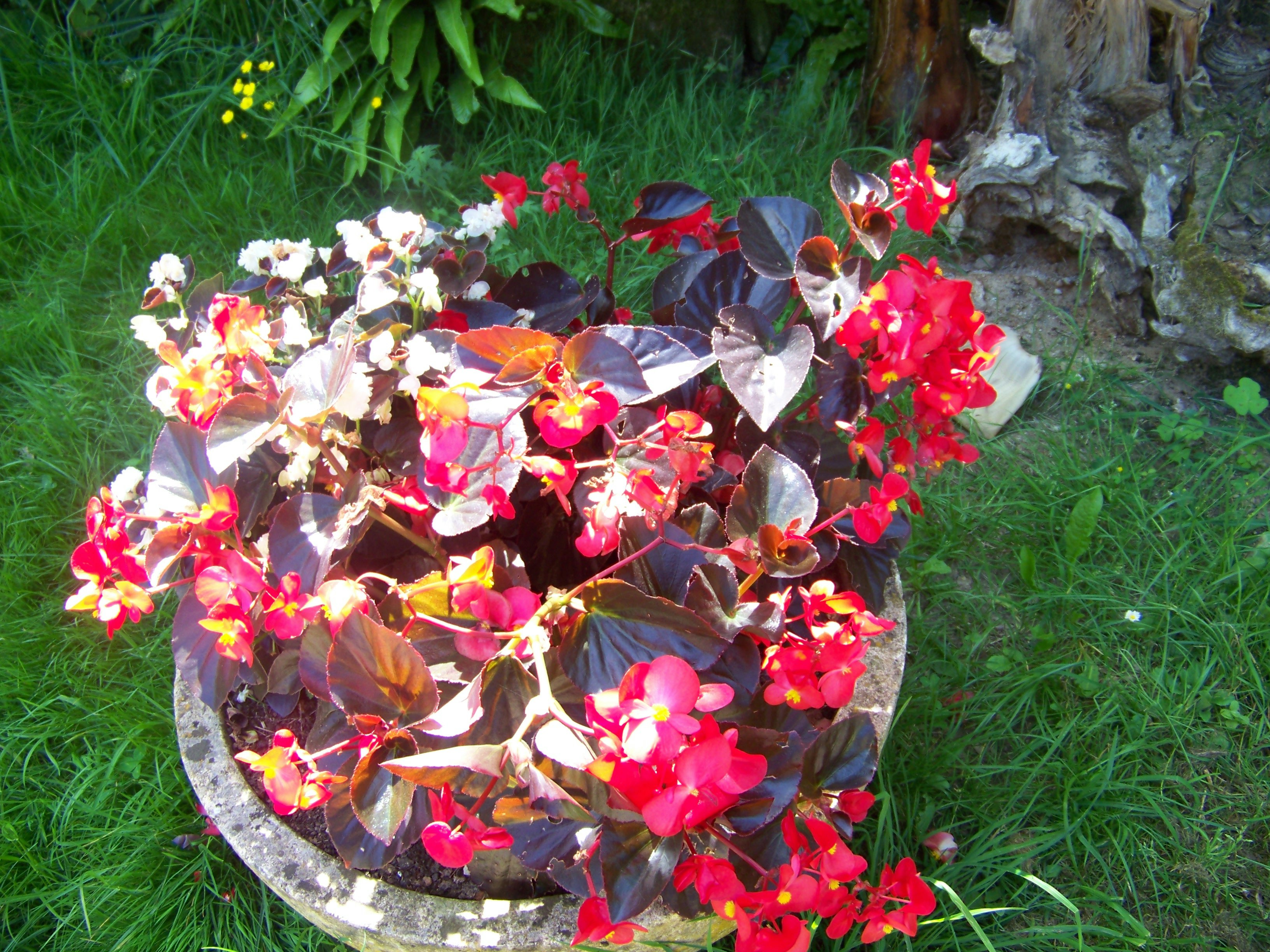 Camping La Ferme du Pelou