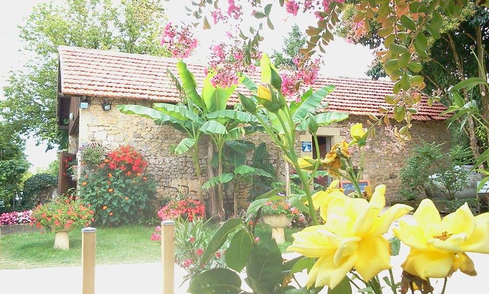 Blühende gelbe Blumen im Vordergrund vor einem Steinhaus mit rotem Dach und gepflegtem Garten.