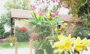 Blühende gelbe Blumen im Vordergrund vor einem Steinhaus mit rotem Dach und gepflegtem Garten.
