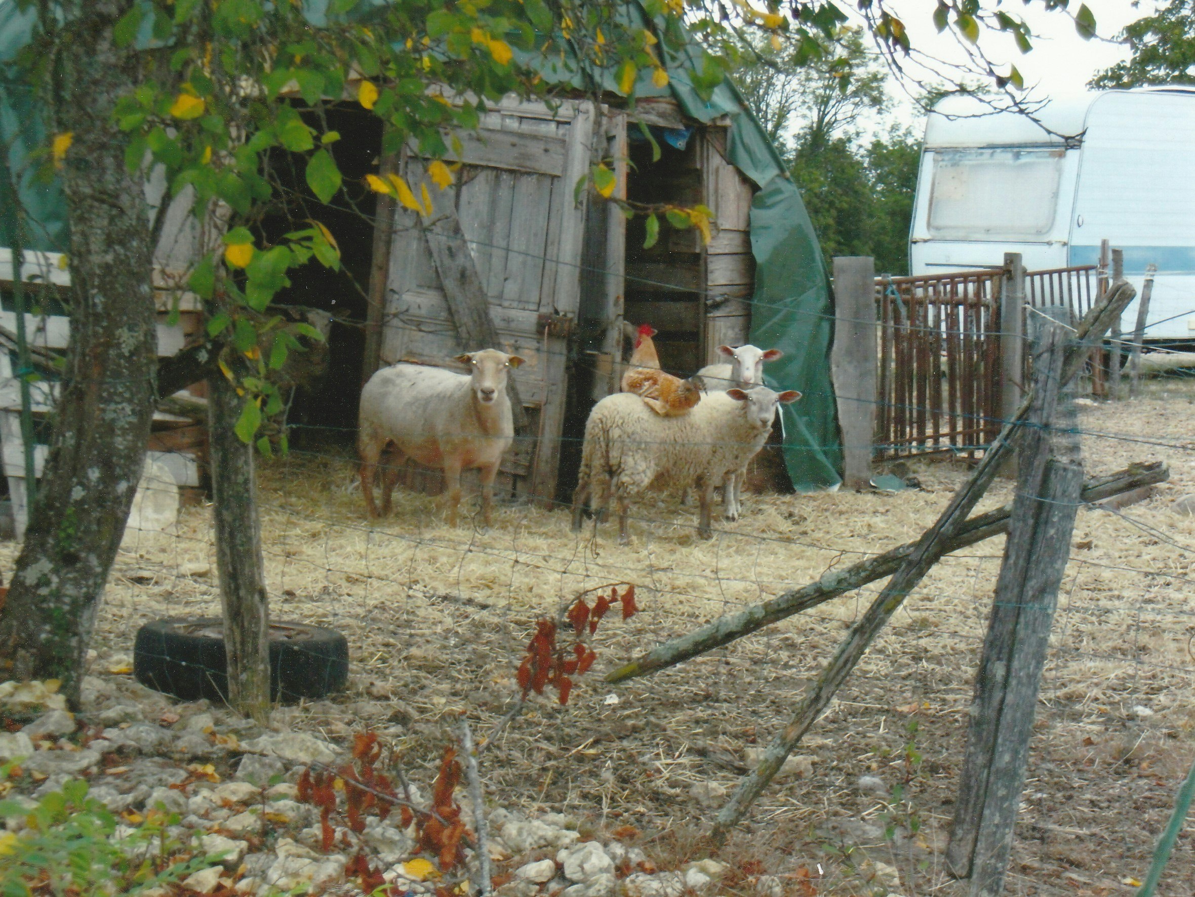 Camping La Ferme du Pelou