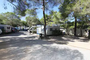 Camping La Foce - Strasse des Campingplatzes mit Stellplätzen unter Bäumen an beiden Seiten