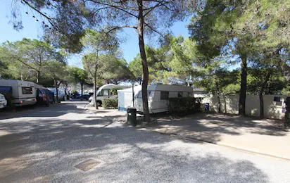 Camping La Foce (Marina di Campo)