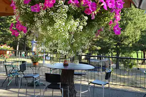 Camping La Fontaine de Réotier - Bar Terrasse auf dem Campingplatz