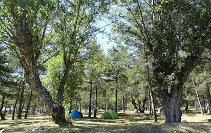 Onlycamp Camping La Fontaine