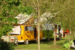 Gelber Wohnwagen und grüner Camper auf einem Campingplatz, Zelte im Hintergrund zwischen Bäumen und Rasen.