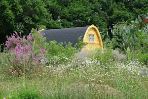 Holz-Gartenhaus mit Fenster und Tür, umgeben von bunten Blumen und hohem Gras vor dichtem Wald.