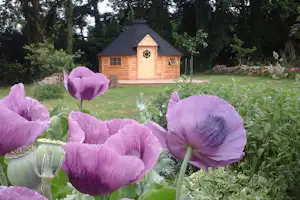 Lila Mohnblumen im Vordergrund vor einer kleinen Holz-Hütte im Grünen, umgeben von Bäumen und Rasen.