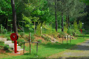 Camping La Forêt - - Stellplatz vom Campingplatz im Grünen
