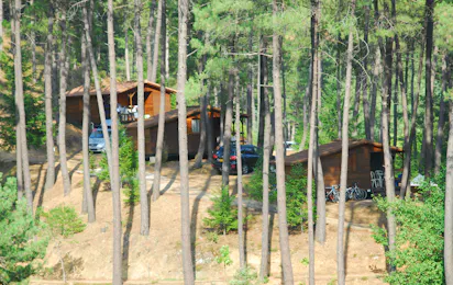 Camping La Forêt (Saint-Jean-du-Gard)