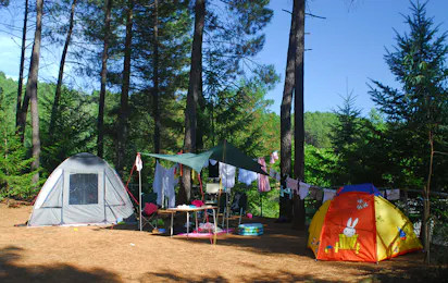 Camping La Forêt (Saint-Jean-du-Gard)