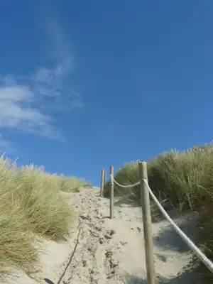 Sandweg durch Dünen mit Grasbüscheln und einem Holzgeländer, vor blauem Himmel.