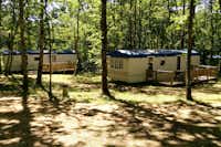Camping La Forêt -  Mobilheime mit Veranda auf dem Campingplatz