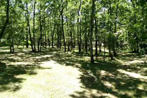 Camping La Forêt - Übernachtungsmöglichkeiten im Grunen auf dem Campingplatz
