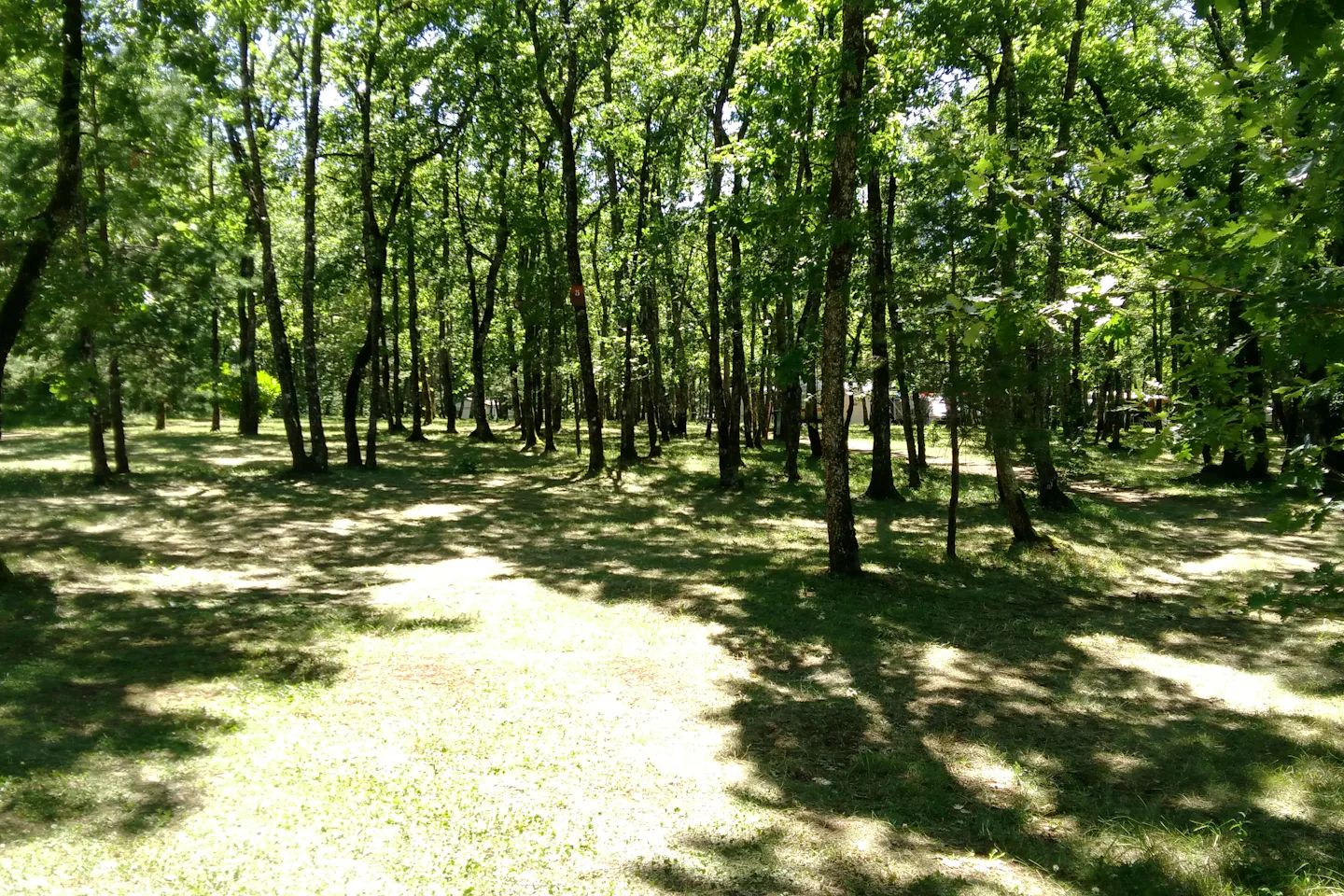 Camping La Forêt (Pezuls)