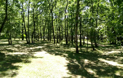 Camping La Forêt (Pezuls)