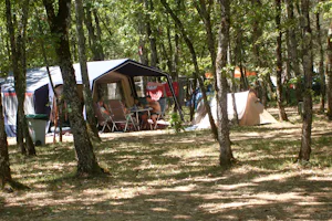 Camping La Forêt - Zeltplatz im Grunen auf dem Campingplatz