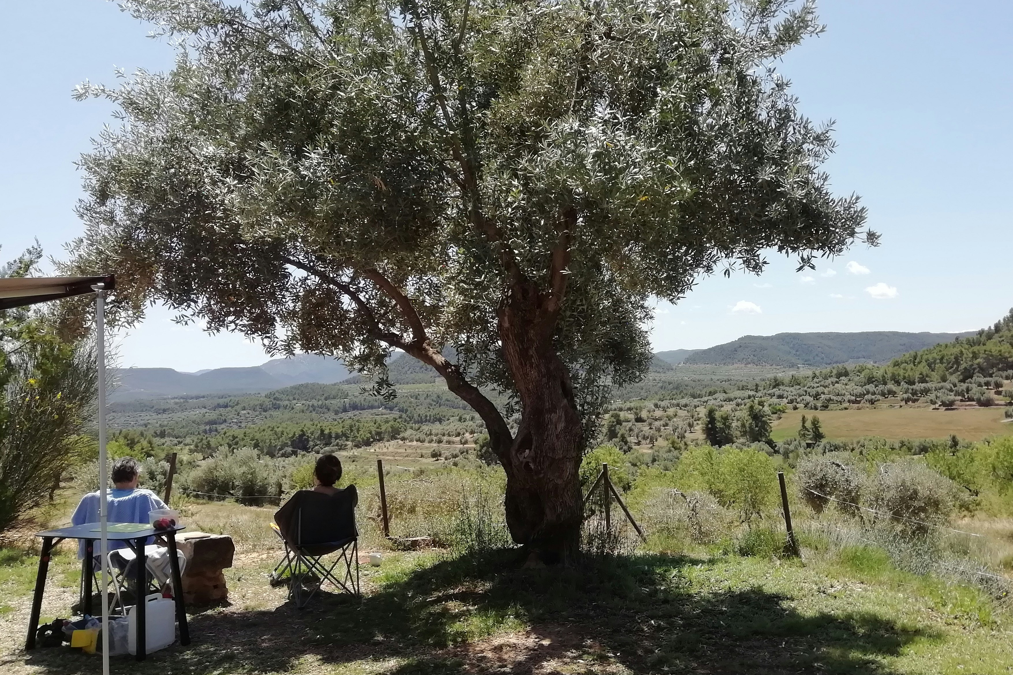 Camping La Fresneda - Aussicht vom Standplatz aus