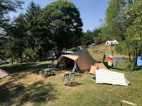 Camping La Futa - Zeltplatz  im Schatten unter den Bäumen auf dem Campingplatz