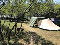 Camping La Futa - Zeltplatz im Schatten der Bäume auf dem Campingplatz