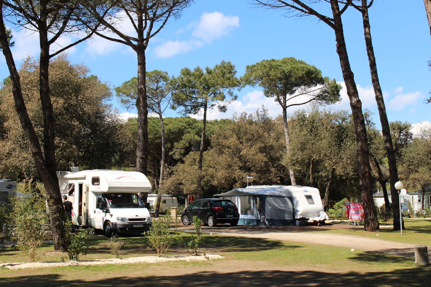 Die Wohnmobilstellplätze im Schatten unter  den Bäumen auf dem Camping La Grainetière 