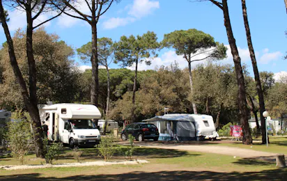 Camping La Grainetière